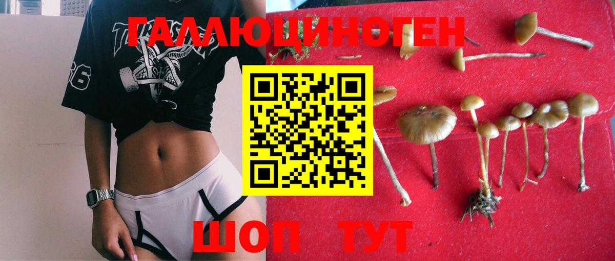 Первоуральск  что такое наркотик  Вход с VPN  Псилоцибиновые грибы прущие грибы 